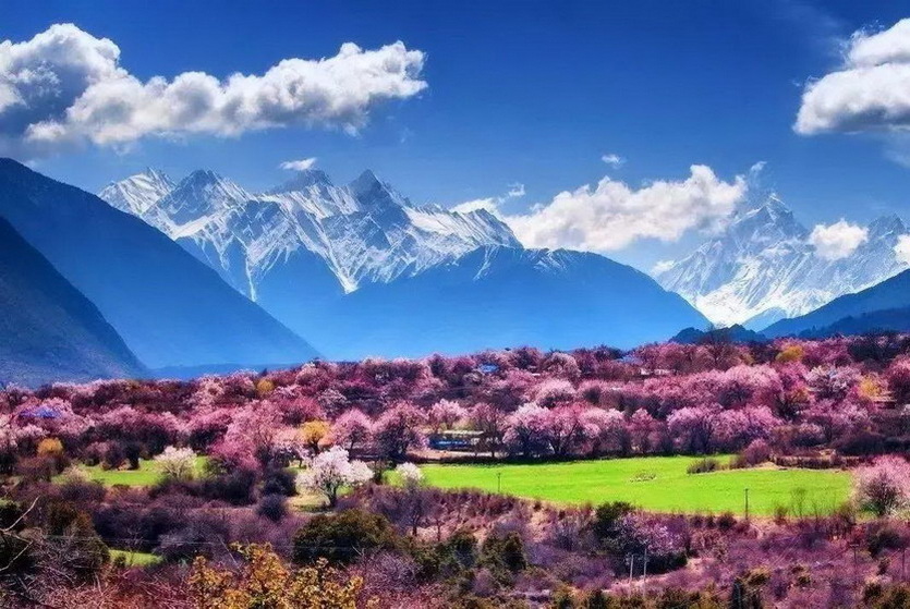 林芝市桃花区 (2)