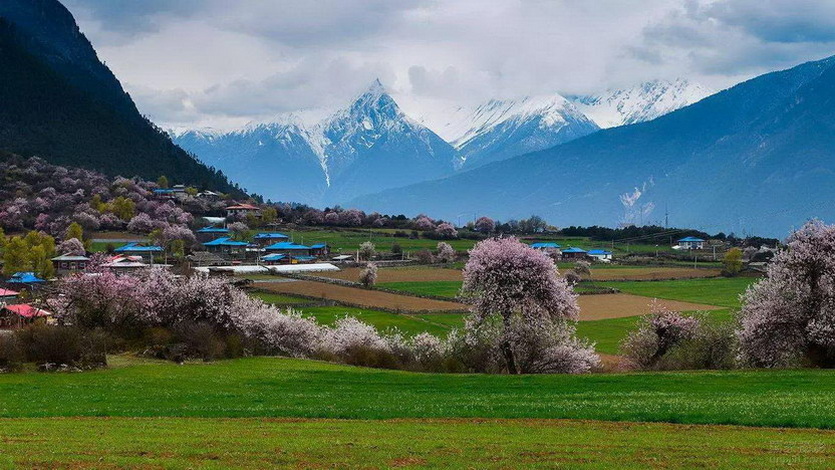 波密县 (1)