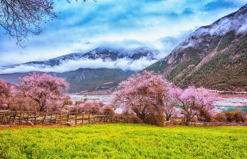 林芝市桃花区 (3)