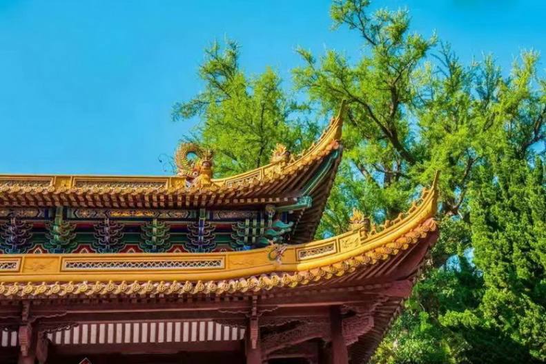 普陀山法雨禅寺1