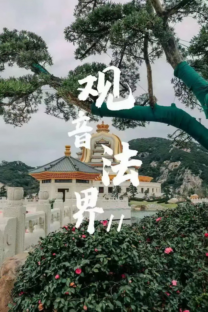 舟山观音法界