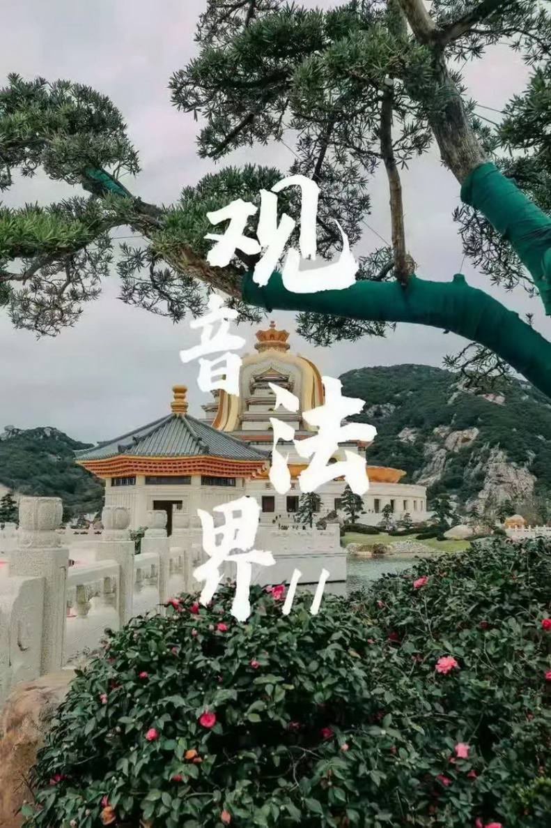 舟山观音法界