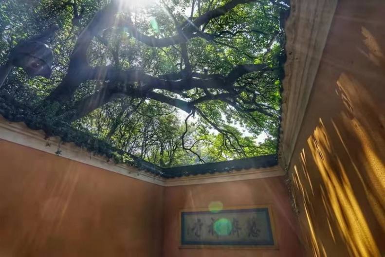 普陀山慧济禅寺