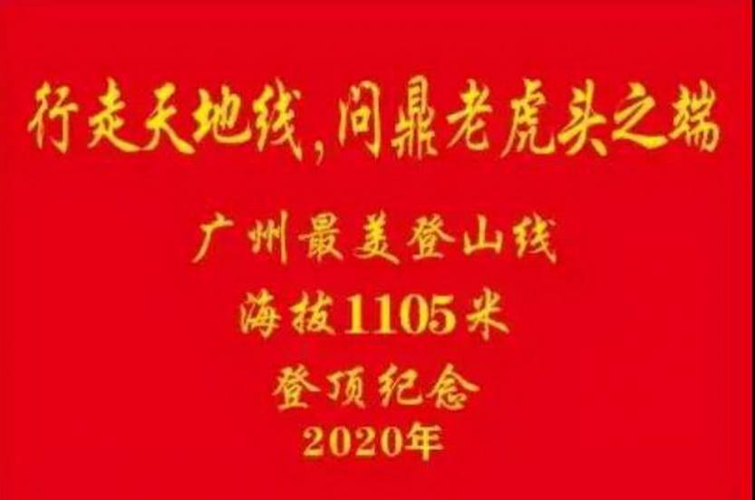老虎头_01