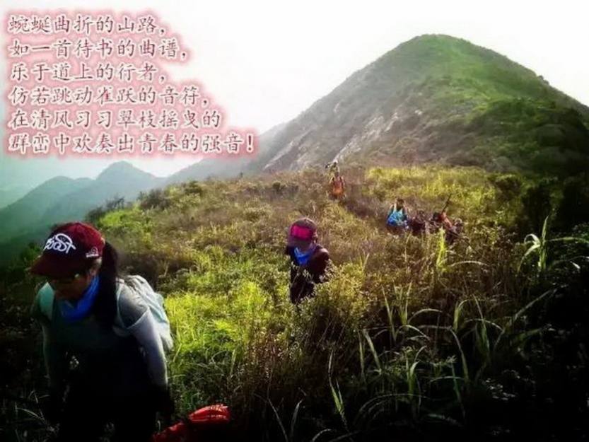 老虎头_14