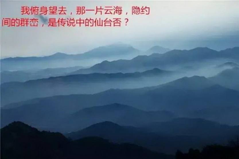 老虎头_13