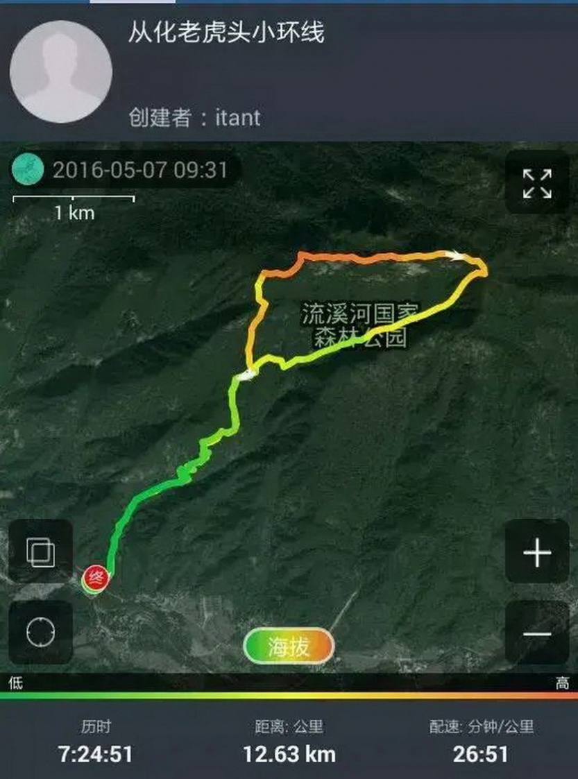 老虎头_15