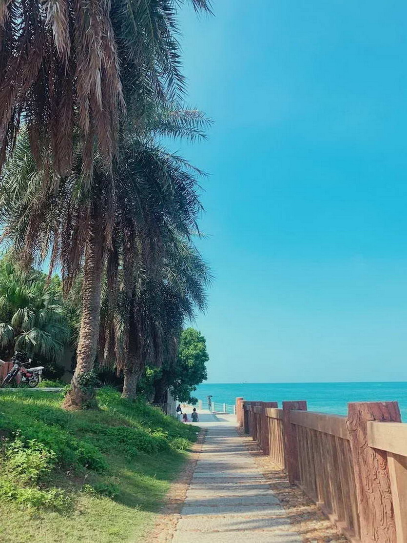 畅游海陵岛 (2)