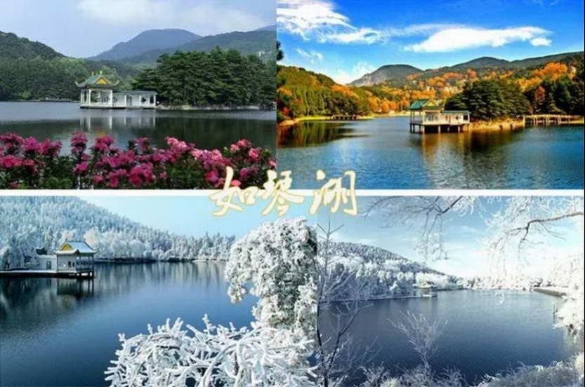 庐山恋4日_06