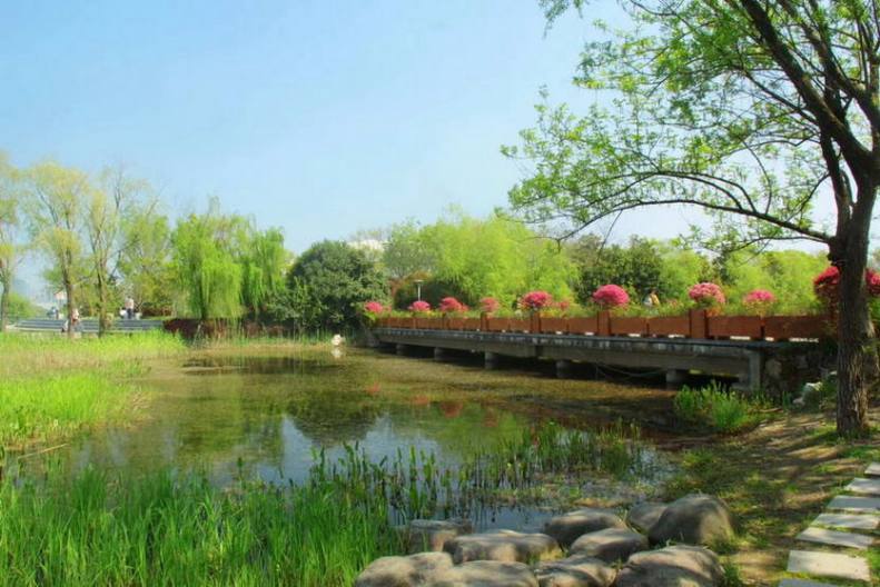 无锡长广溪湿地公园_2