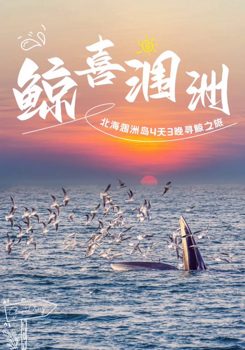 春节鲸喜涠洲4天_07