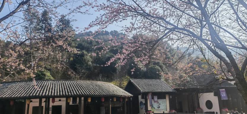 大美龙南2天_18