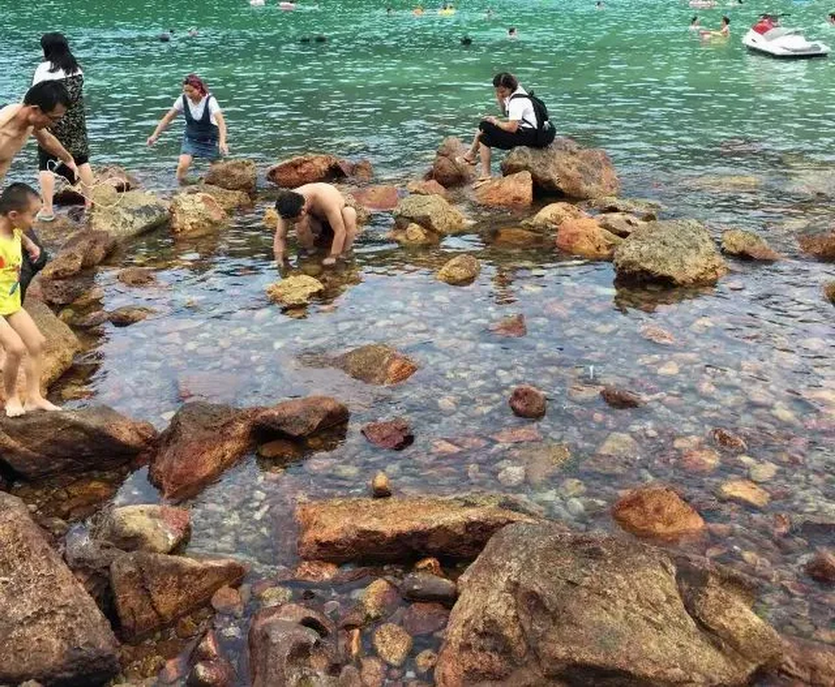 深度三门岛2天_06