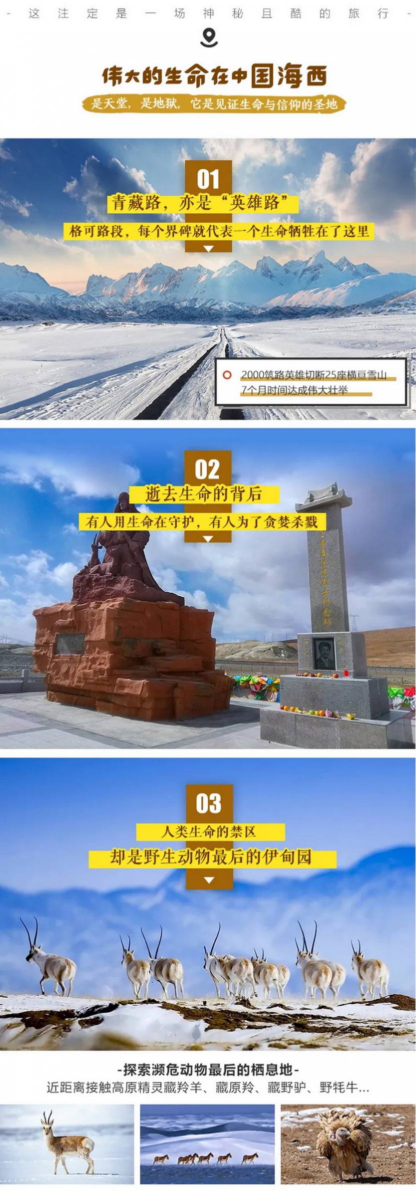 聚享可可西里7天_03-1