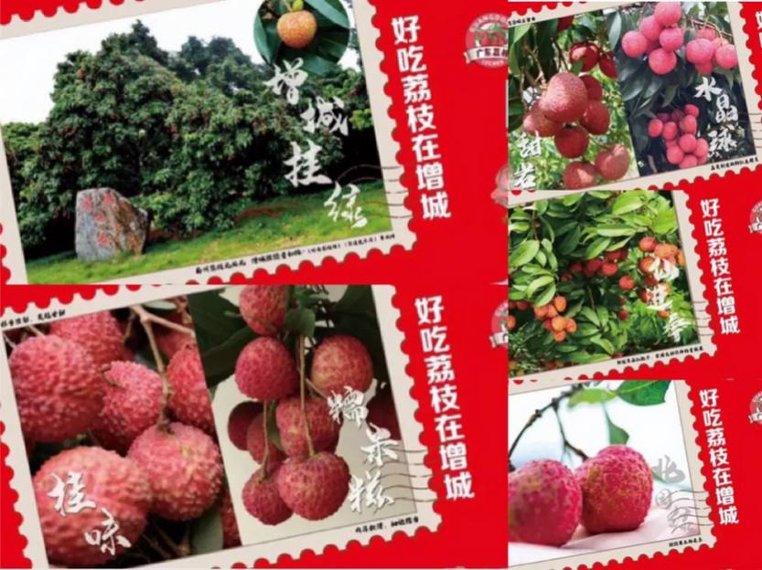 美食增城_02