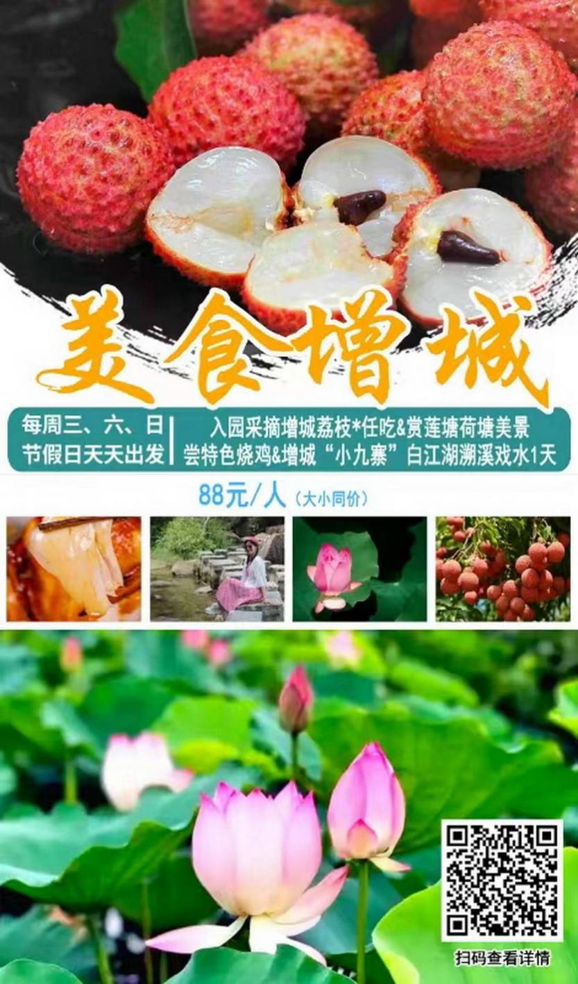 美食增城_11