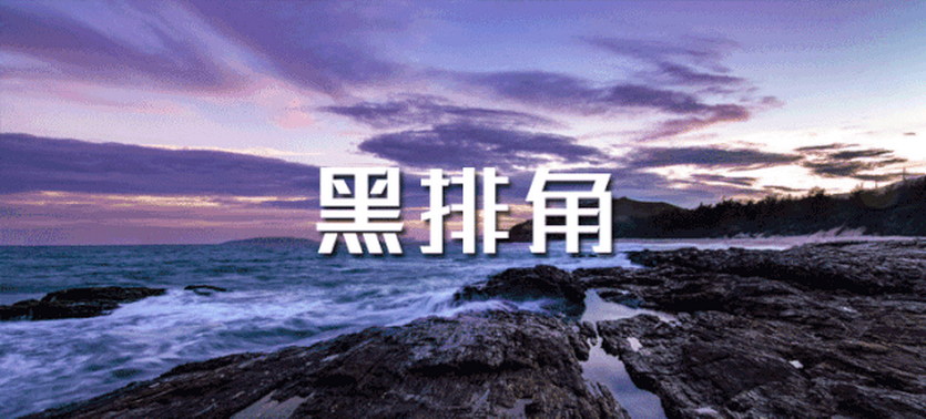广100-惠东黑排角_02 广100-惠东黑排角_02