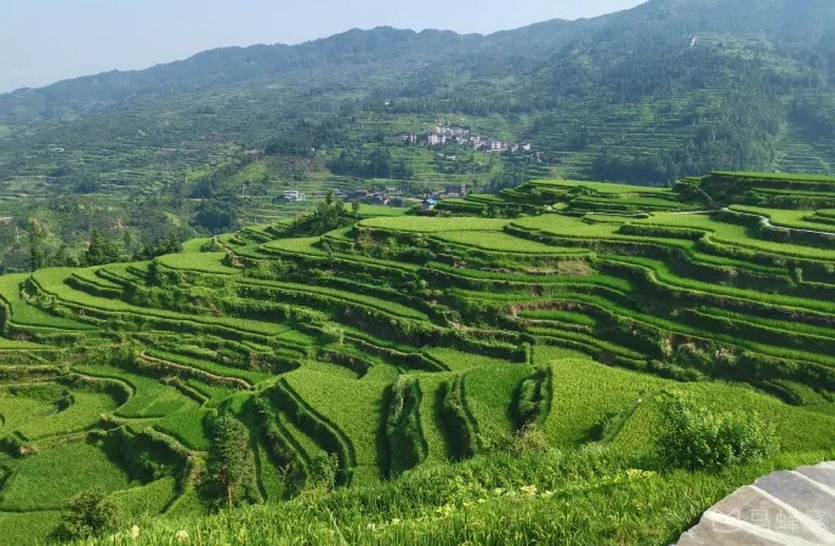 黔桂联游3天_30