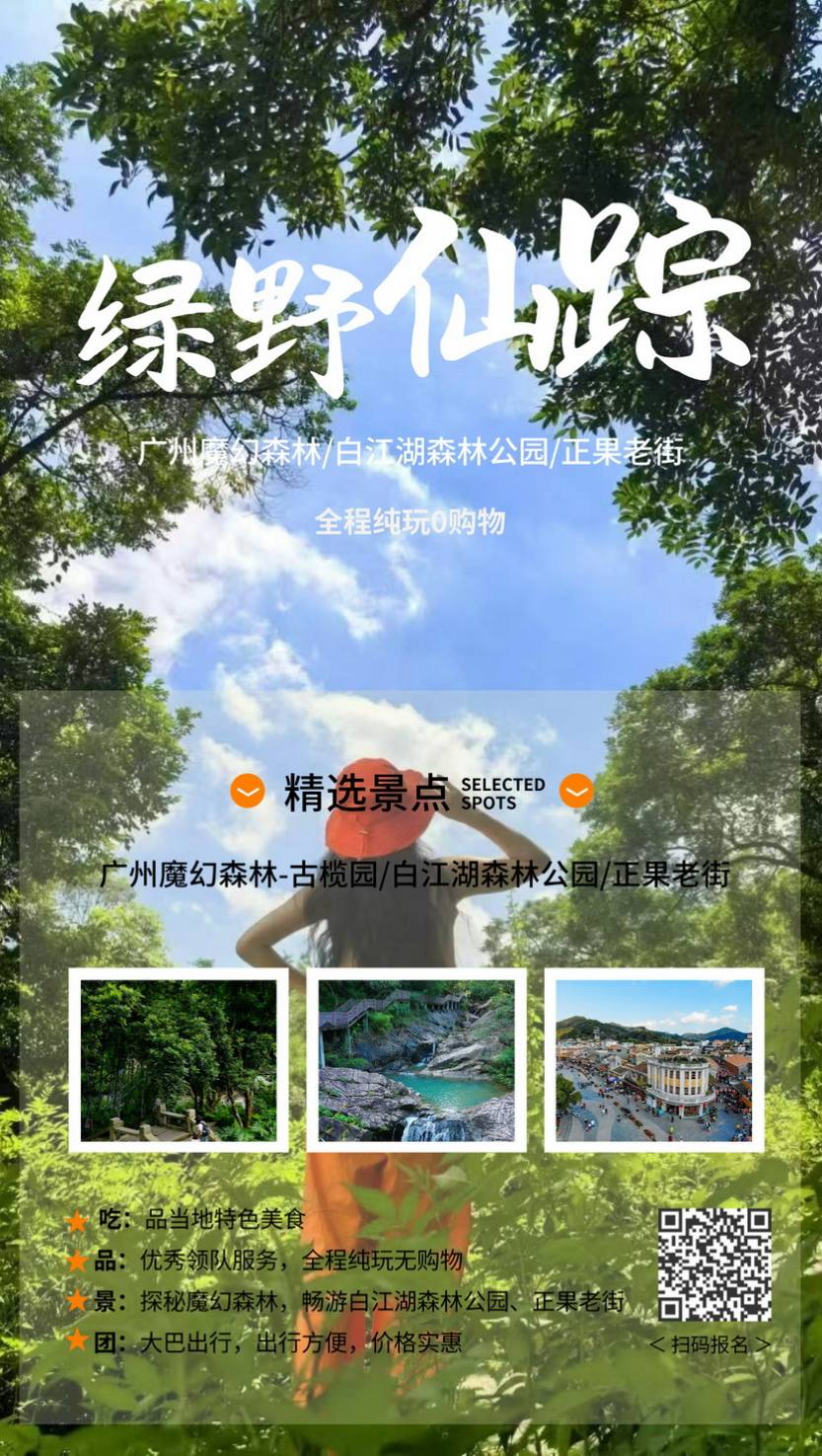 绿野仙踪_11