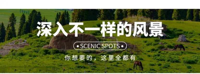 独伊无二7天_03