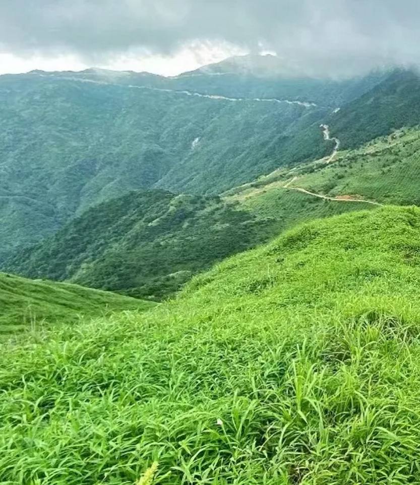 大南山_04