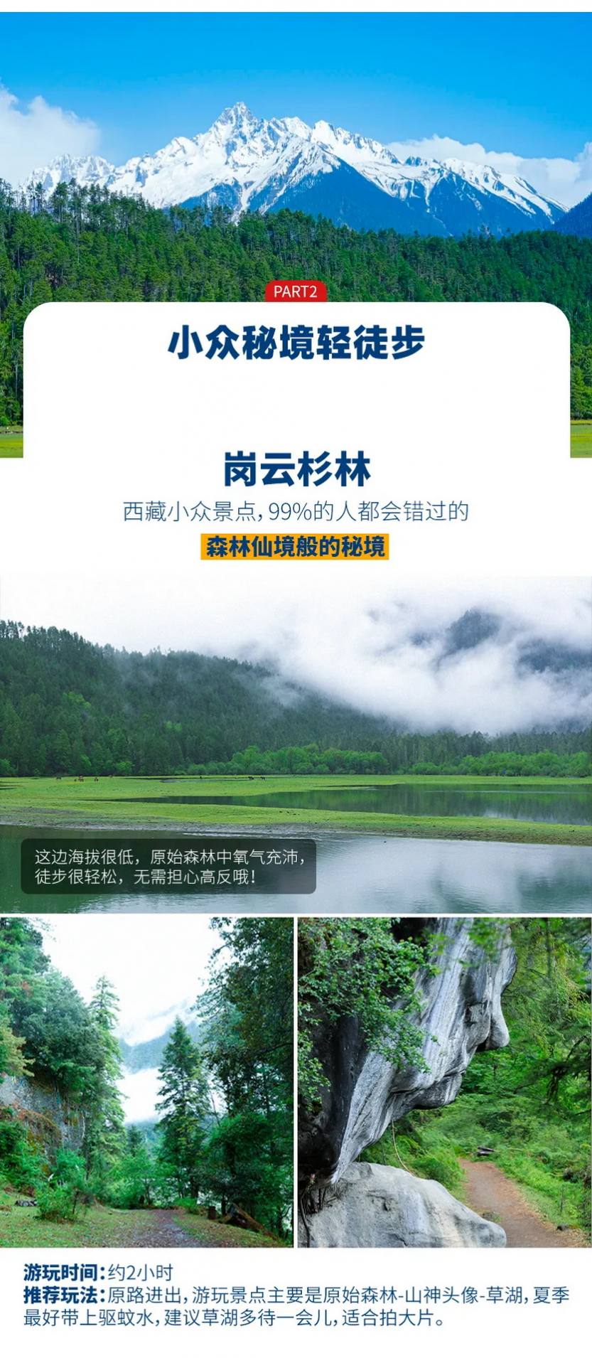 大美G318-9天_10