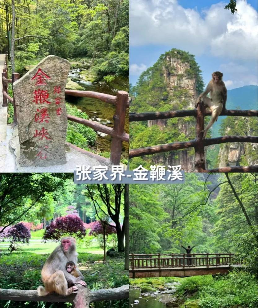 探索湖南5天_15