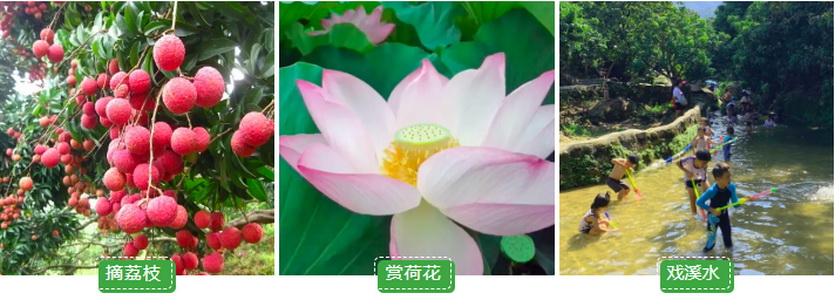 夏游从化_01