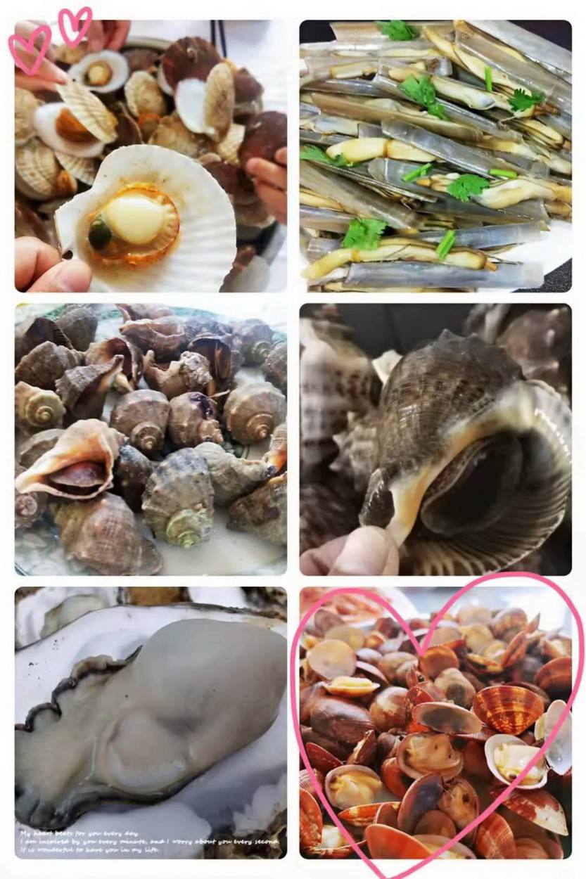 玩转山东7天_24