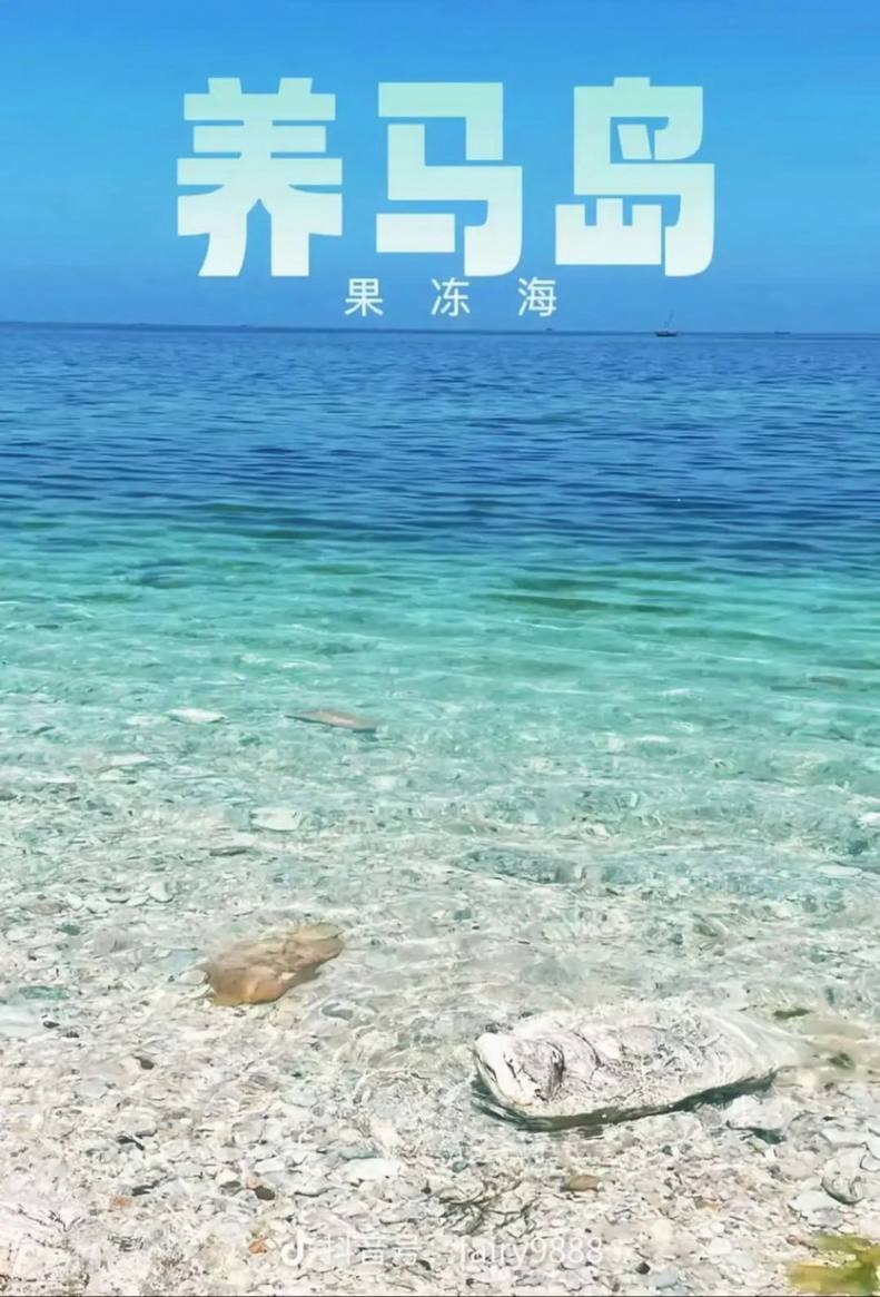 玩转山东7天_31