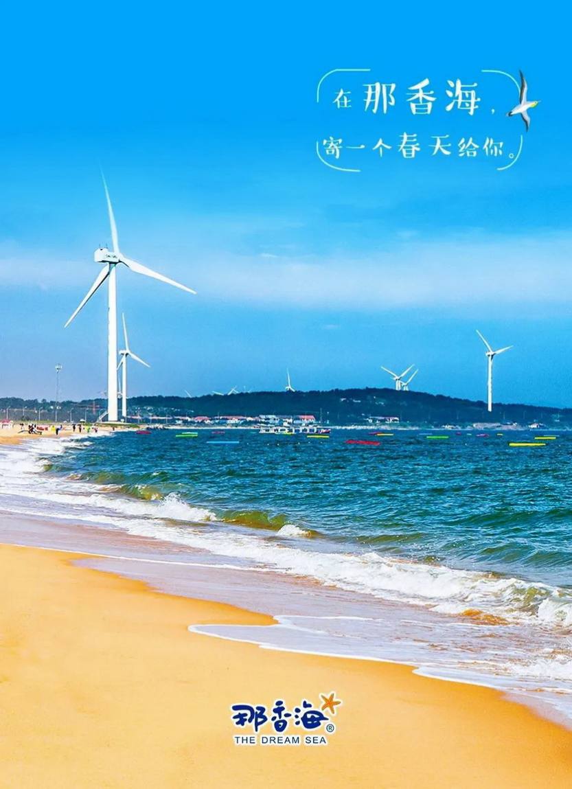 玩转山东7天_12