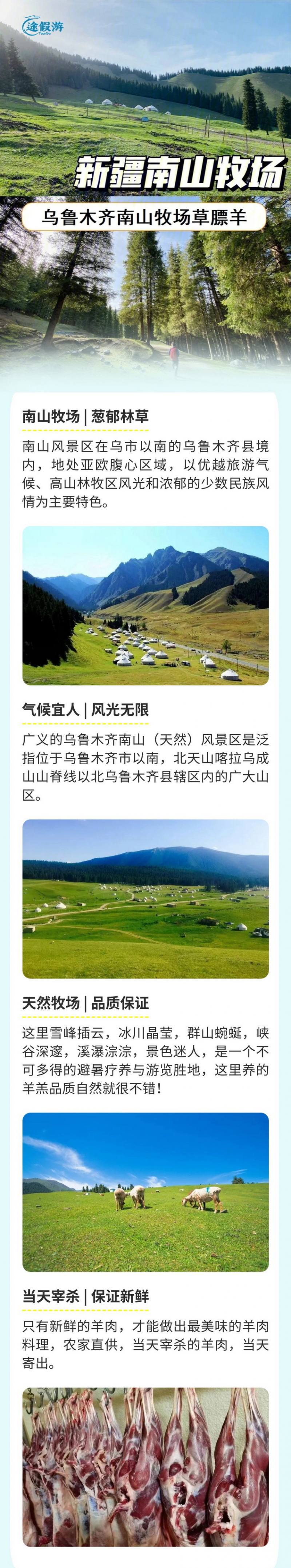 新疆南山羊 (7)