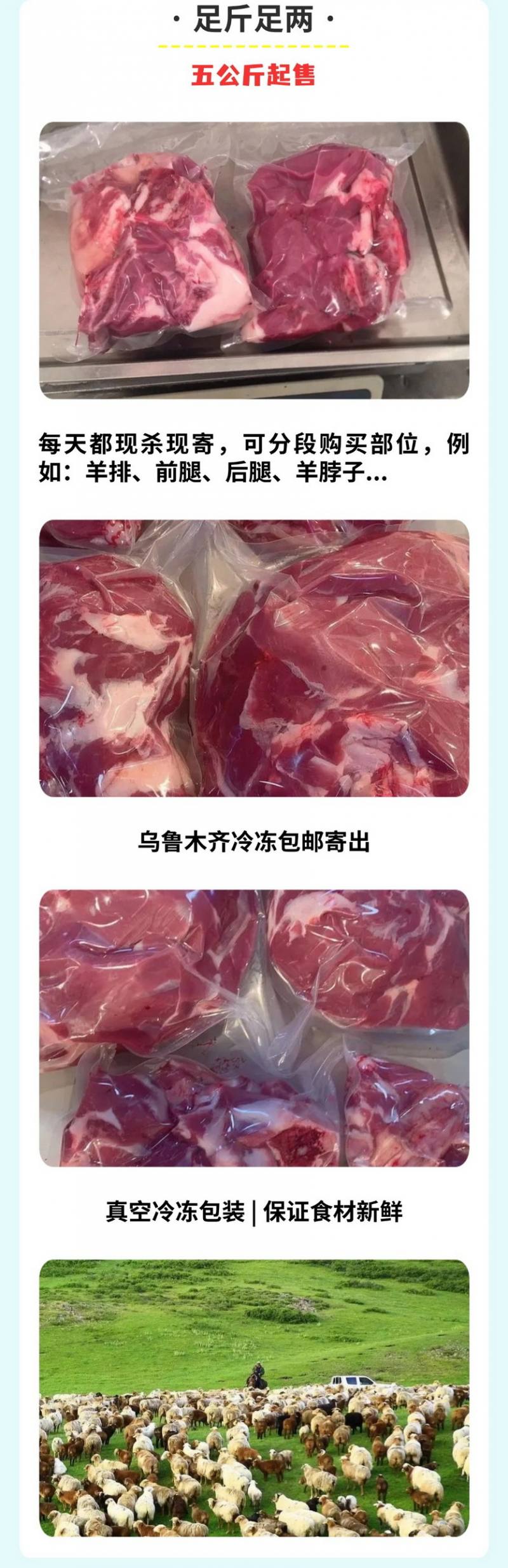 新疆南山羊 (8)