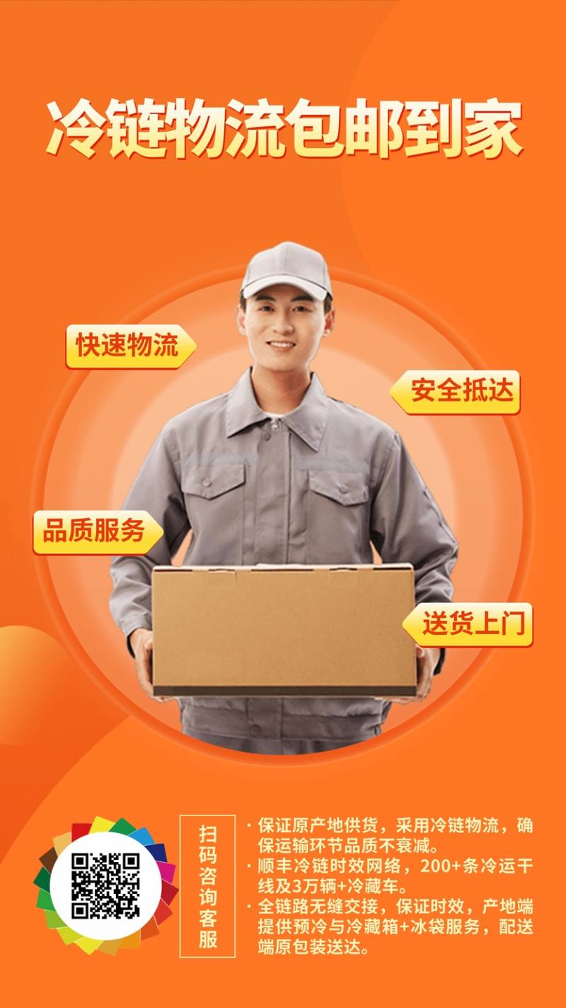 荔枝顺丰快递