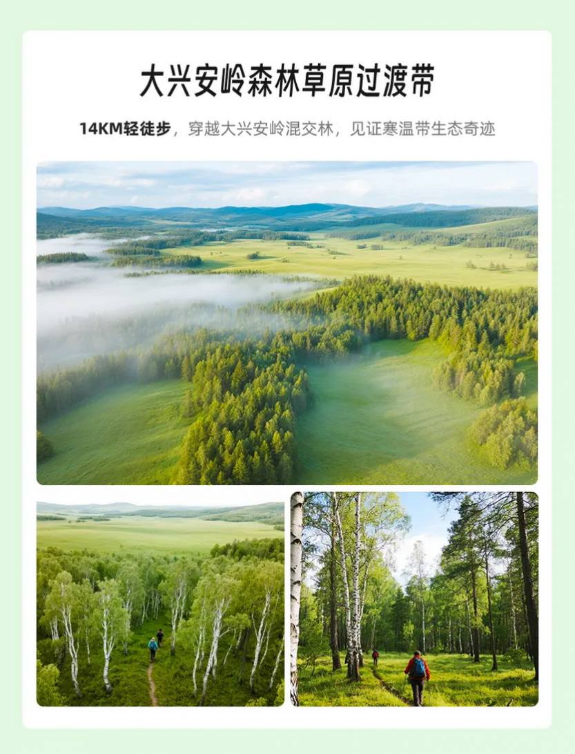2025 步丈山河_39