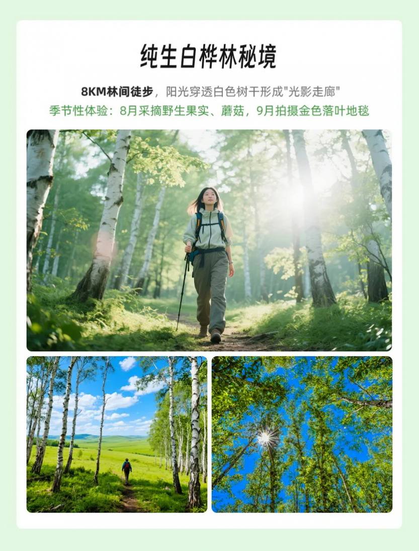 2025 步丈山河_18