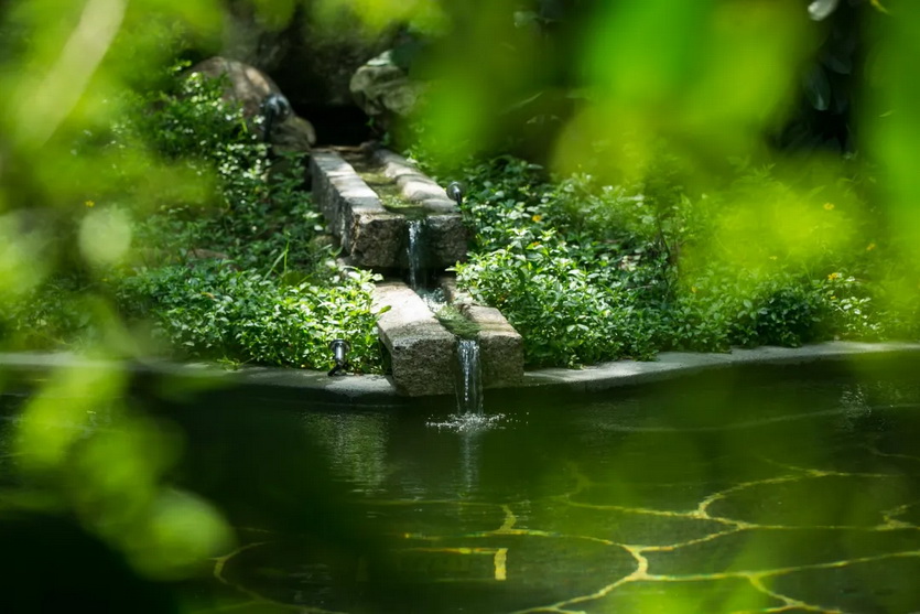 禅泉_43