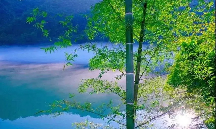 暑假郴州2天2夜_18