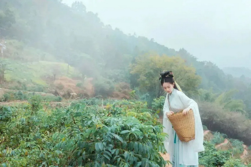 天露山_10 天露山_10