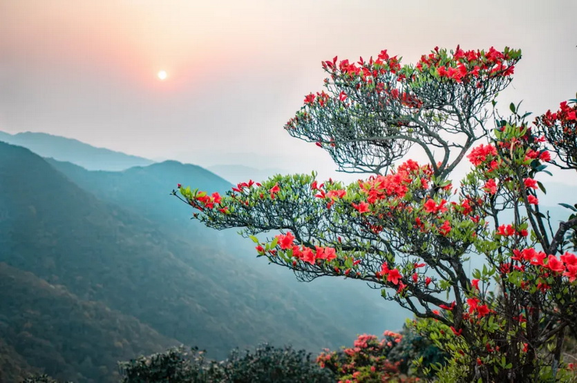 天露山_26 天露山_26