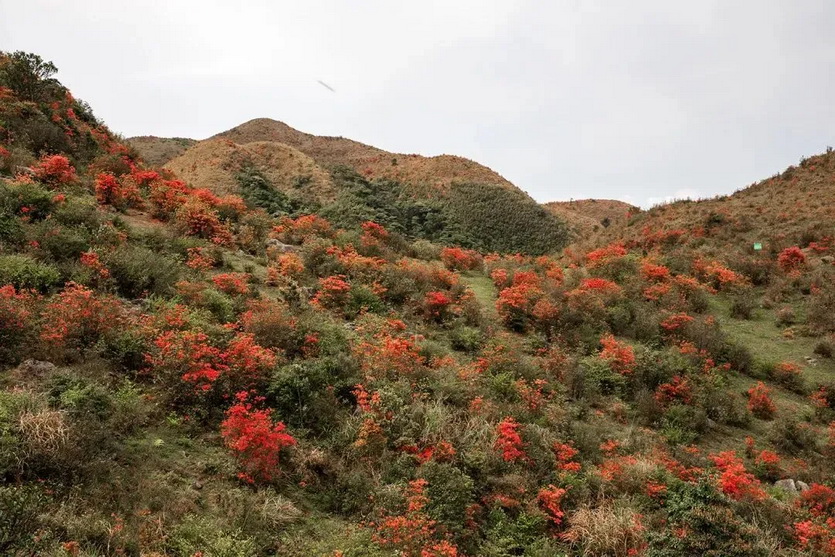 天露山_24 天露山_24