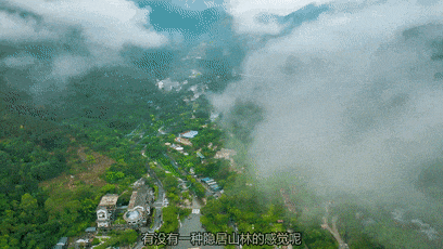 天露山_19 天露山_19