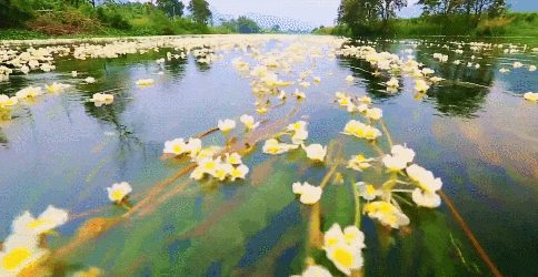 全景广西6天_1 全景广西6天_1
