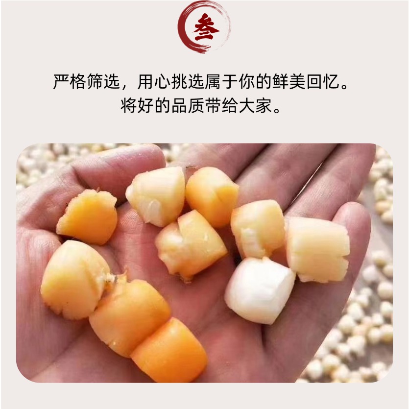 干贝6