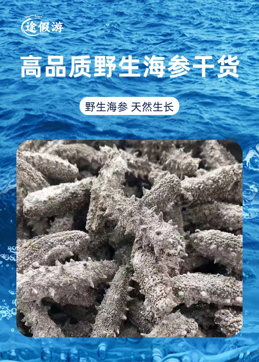 主海报