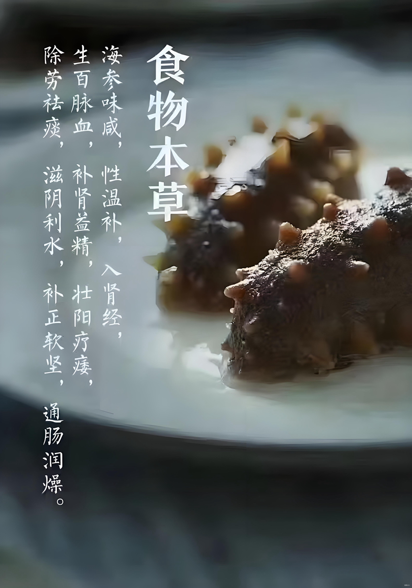 海参产品_11