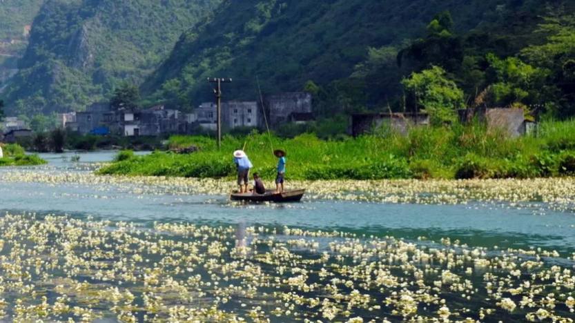 河池天峨3天3夜_13 河池天峨3天3夜_13