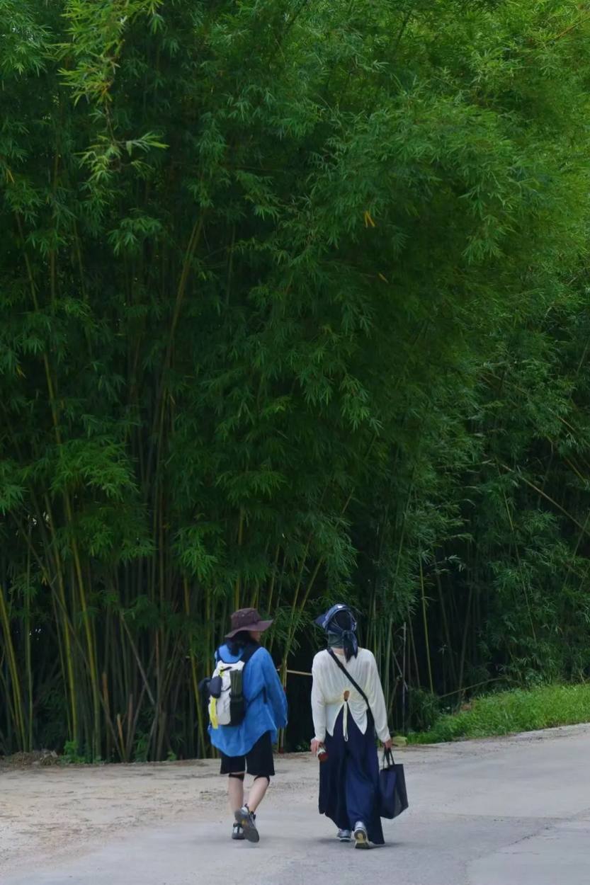 广宁小东江_06 广宁小东江_06