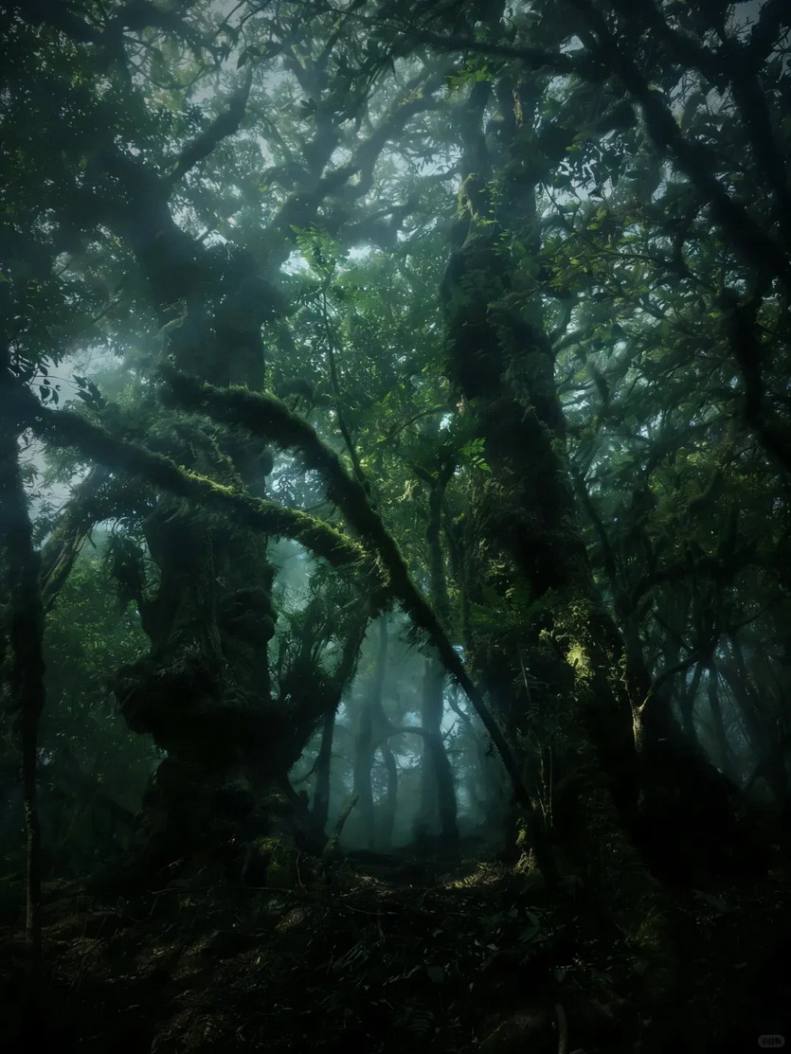 哀牢山&新玩法5天-16