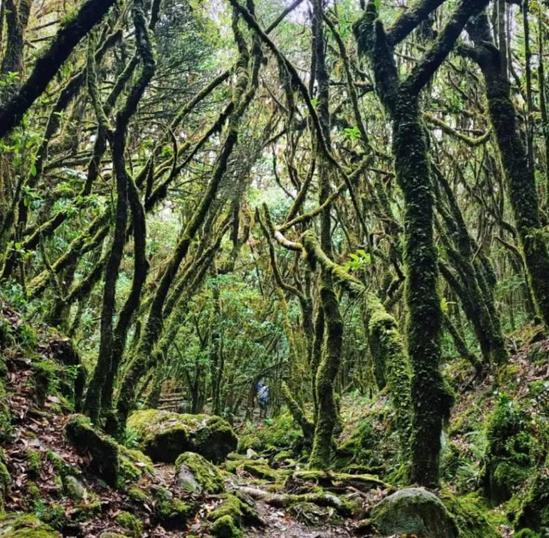 哀牢山&新玩法5天-12 哀牢山&新玩法5天-12